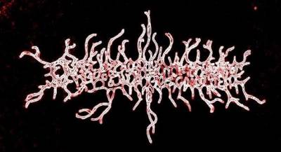 logo In This Shallow Grave